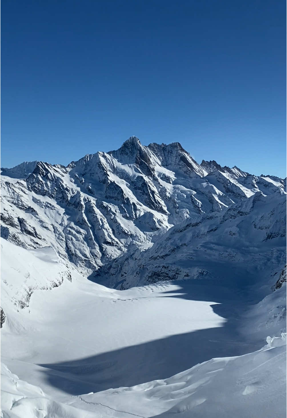 Glaciers in Seitzerland 💙  #fyp #switzerland #glacier #winter #winterinswitzerland #lauterbrunnen #grindelwald #jungfraujoch #jungfrauregion 