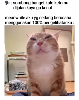 yg kaga penting memang suka ga keliatan wakkk