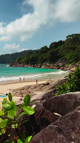 Freedom Beach in Phuket is a hidden gem with lush jungle, soft white sand, and crystal-clear turquoise waters. Just a short distance from bustling Patong Beach, it offers a peaceful, laid-back vibe perfect for relaxing in nature. #freedombeach #phuketbeach #phuket #thailand #fyp #foryou