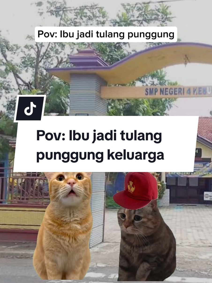 Ibu adalah pahlawan perempuan terhebat di dunia 💐 . . #mama #Ibu #berandatiktok #catmeme #sadstory #fypppppppppppppppppppppp #pov #beranda #videokucing #meme #catsoftiktok