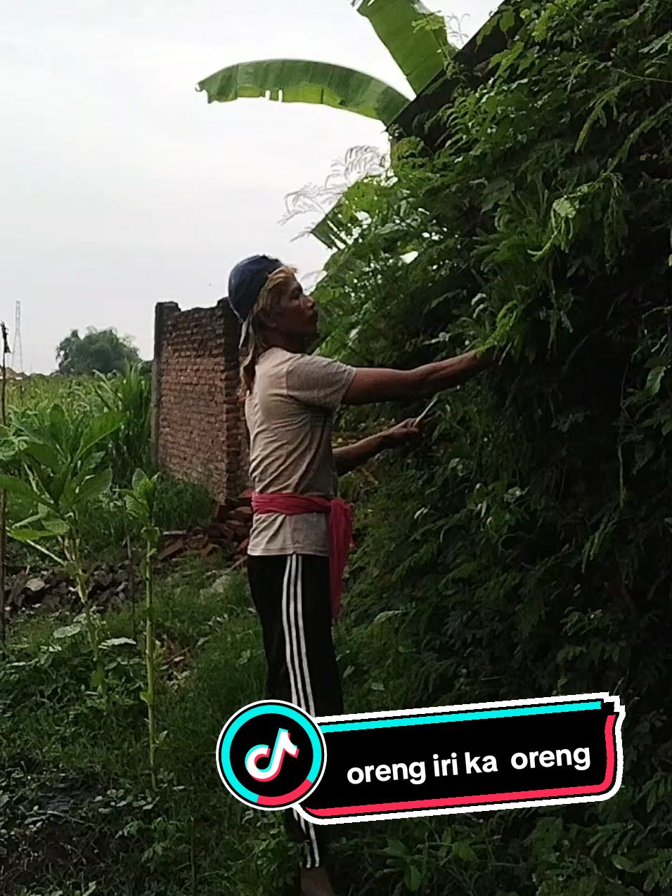 jek arasanan oreng,abe'en dibik jegeh....ngeding!!! #fypviral 