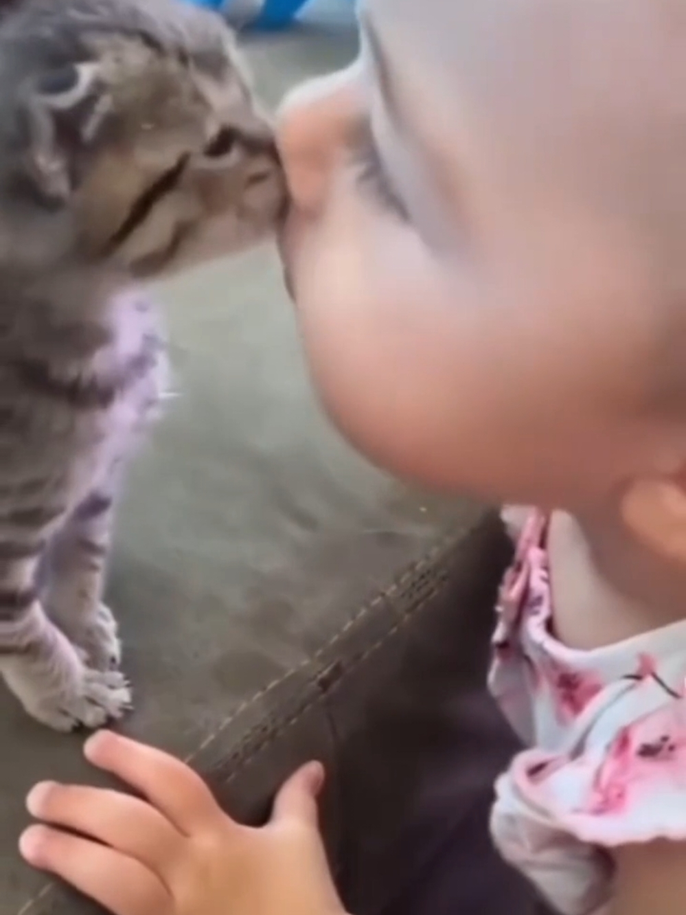 Cats' love for children / Любов котів до дітей #кіттіктокер #кітукраїнець #кіт #cattok #catlover #cats #catsoftiktok #cat #cute #кот #kitten #котики #коты #котенок #котикиприколы #котыприколы #смешное #смешныеживотные #собака #собакадругчеловека #собаки #dog #dogsoftiktok #dogs #doglover #tiktok #собакиприколы #котики #котикиприколы #кумеднікоти #catsoftiktok #yellowcat #котысобаки #котята #котыприколы #собакиприколы #приколы #лучшее