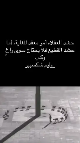 #سياسة_القطيع  #مصر_للمصريين  #كفاية_نطاعة  #كفاية_قرف  #كفاية_عك  #ارضي_وانا_حر_فيها 