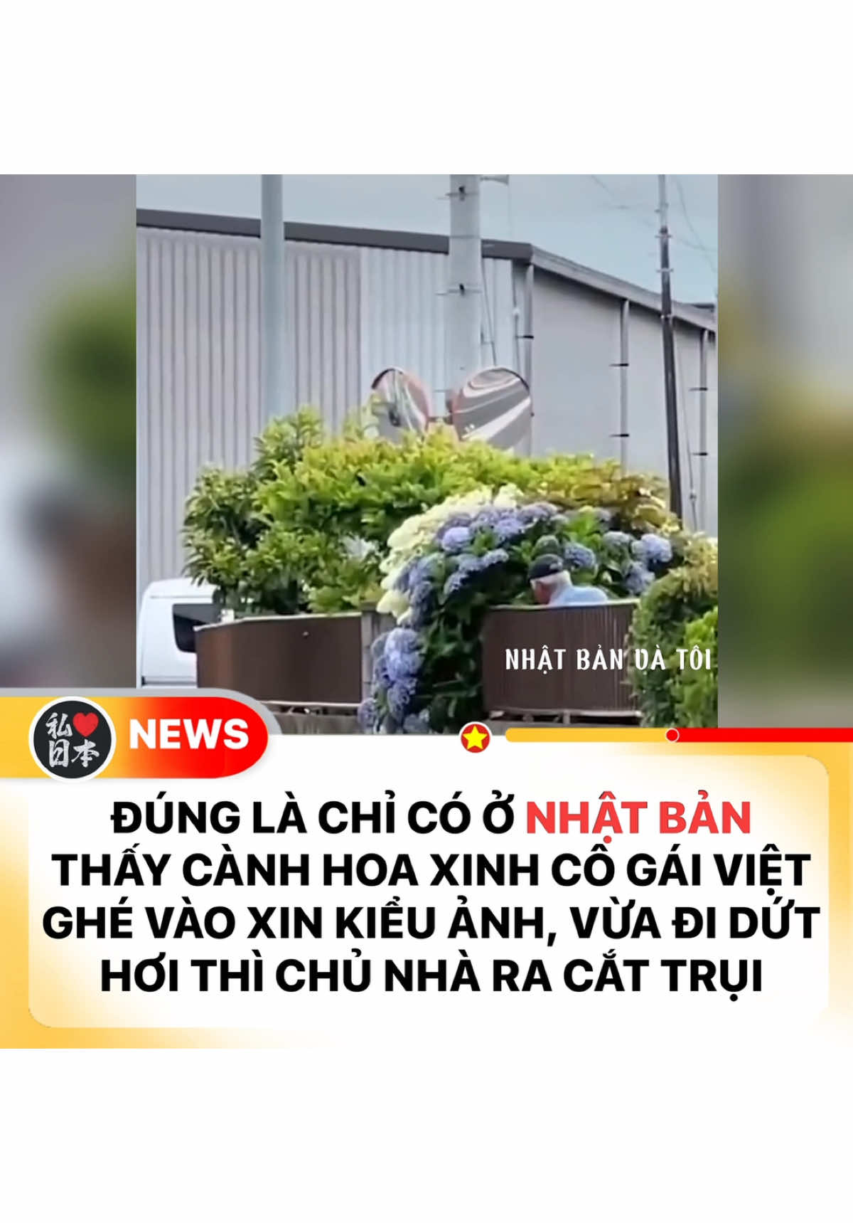 Đúng là chỉ có ở Nhật Bản? Thật là ichki🙄 #xuhuong #日本 