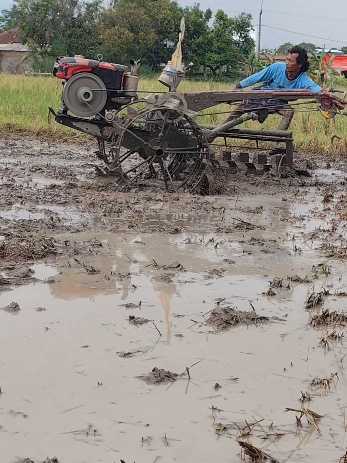 traktor sawah mang cungkring #traktor #tractor #traktorsawah #tractors #traktor 