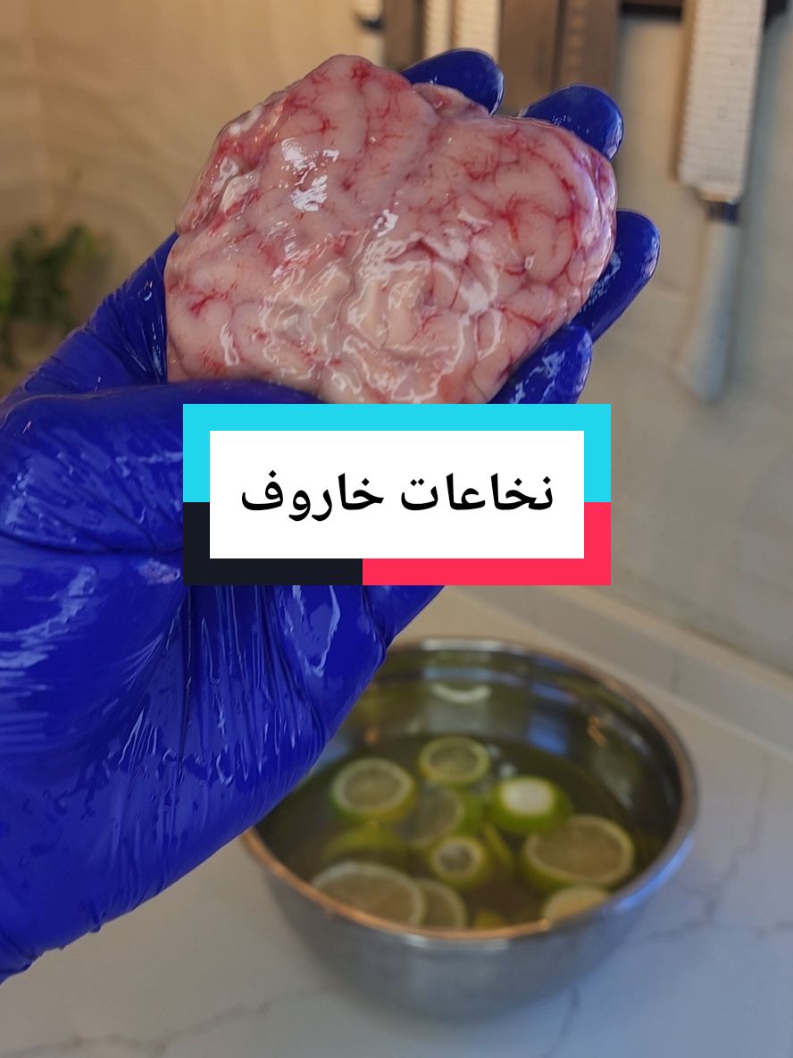 نخاعات الخاروف او مخ الخاروف وصفة من الخيال على قد ما هي طيبة وطعمها مثل الزبدة واطيب .  يا رب فرجك على عبادك المخلصين الموحدين في غ/ز/ة وفي كل بلد يذكر فيه اسمك العظيم .  * المكونات :  - 5 نخاعات خاروف  - بصلة ، هيل حب ، كزبرة حب ، ورق غار ، فلفل اسود حب .  - ملح  - فلفل اسود  - 50 غرام زبدة زيت زيتون  - قرن فلفل و3 سنان ثومه  - ليمونتين للنقع  شطه حمراء ومخللات حسب الرغبة  - للتطفاية :  - عصير ليمونتين .  - سنين ثومه  - حفنة بقدونس  #نخاعات #افرمها #أبو_يحيى #الاردن #مخ #مخ_خاروف #abuyahia_official #تريند #تريندات 