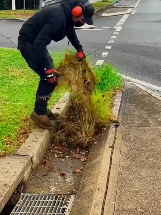 This job is the best one in the whole world. 🥰 Help us reach our goal till Xmas 🙏 #garden #landscaping  #yardwork #lawncare #satisfyningvideos #hedges 