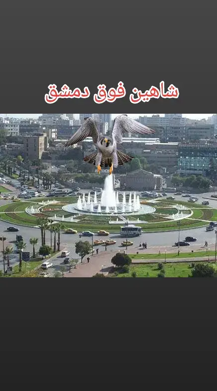 شاهين الثوره