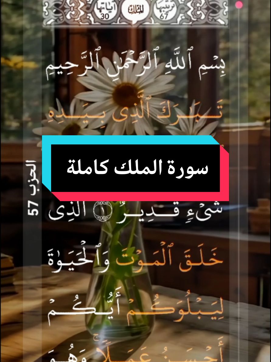 #القران_الكريم #❤️ #سورة_الملك #كاملة #سورة_الملك_قبل_النوم💛 #سورة_الملك_المنجيه_من_عذاب_القبر #القارئ_علاء_عقل #الراحة_النفسيه___ارح_سمعك #الرحمة #📿🌎🕋 #اللهم_لك_الحمد_ولك_الشكر #الحمد_لله_على_نعمة_الأسلام #اللهم_صل_وسلم_على_نبينا_محمد #🌹 #alquran_alkareem🌹🌹🌹🌹 #surat_al_mulk #completa #alquran #❤️ #bienestar #🕋 #video_islamic #🤲🤲🤲