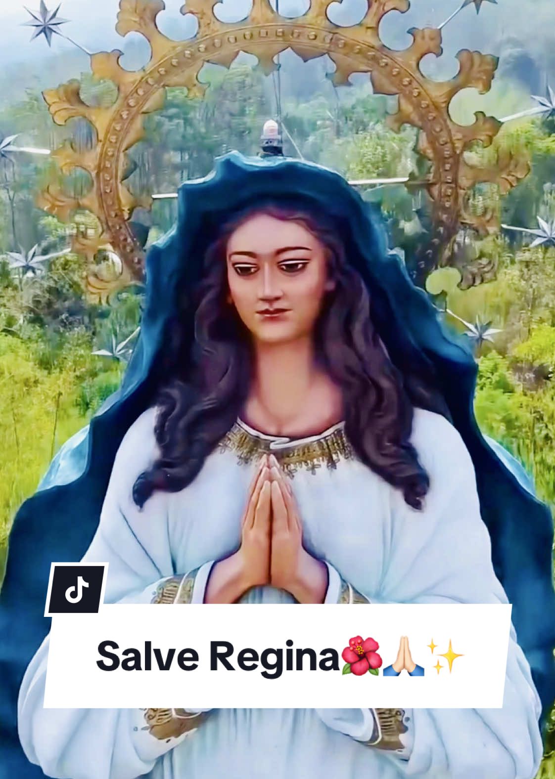 Salve Regina🌹✨ (Do=C) Solis: @NathaniaListya  Video: Benedictus Febrian Selamat memasuki masa Adven teman-teman Kristianiku🤗 Selamat mempersiapkan hati dan diri kita untuk menyambut hari besar yang akan tiba. Berkah Dalem🤗❤️ #Katolik #Natal #Christmas #Mazmur #SalveRegina #MaklumatKelahiranYesusKristus #MaklumatNatal #Catholic #OMK #Rohani #RohaniKatolik #katolikindonesia #Pemazmur #omkindonesia #MazmurTanggapan #MaklumatKelahiranYesusKristus #MazmurEdisiBaru #catholictiktok #katoliktiktok #churchtiktok #proudcatholic #katolikagamaku #Catholicism #NathaniaListya #GMKA #GuaMariaKerepAmbarawa #GuaMariaKerep #fyp #fypage #fyppppppppppppppppppppppp #fyyyyyyyyyyyyyyyy #fypシ゚ #fy #foryou 