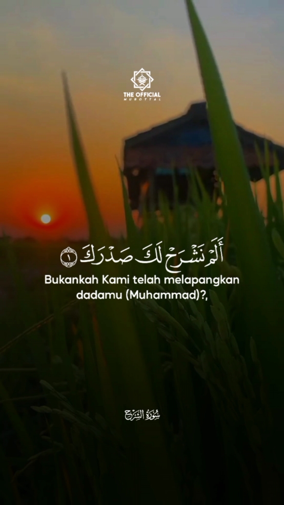 #CapCut Surah Al-Insyirah || Othman Al-Haddad #theofficialmurottal 