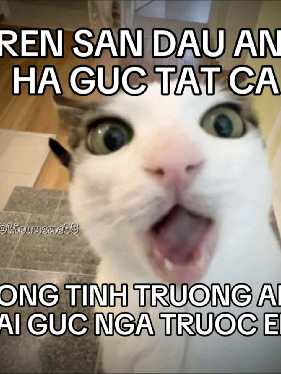 TREN SAN A HA GUC TAT CA🗣️🥊 #rapviet #lilvan #viral #xh #nhachaymoingay #hieumeme09 #truongdinhhoang #rap #xuhuong #xuhuongtiktok #lilvanrap #trensananhhaguctatca 