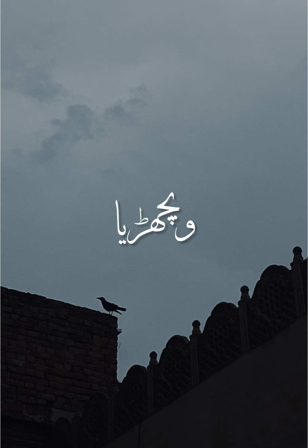 ربا ہرایک نوں وچھڑیا سجن ملائی۔🥺❤️ #foryou #foryoupage #aesthetics #aestheticedits #aestheticvideos #freakyxzia #sad #punjabi #saraiki #poetry #lines #status #video 