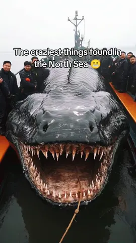 #fear #phobia #northsea #deepocean #job #ocean 