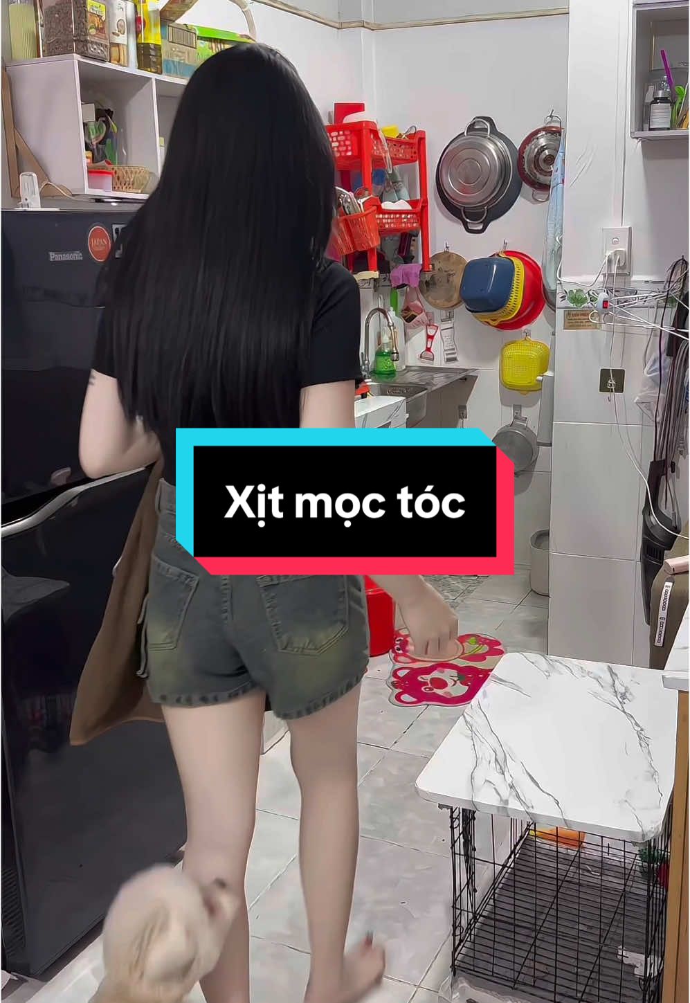 Nay đi ăn đám dỗ mà nó lạ lắm🤣#xuhuongtiktok #cuocsongdocthan #betrangg 