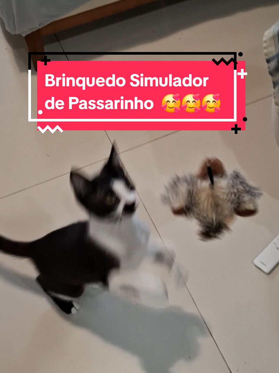 Brinquedo Simulador de Passarinho Elétrico com Som para Gatos #gatos #gatostiktok #petlover #toys 