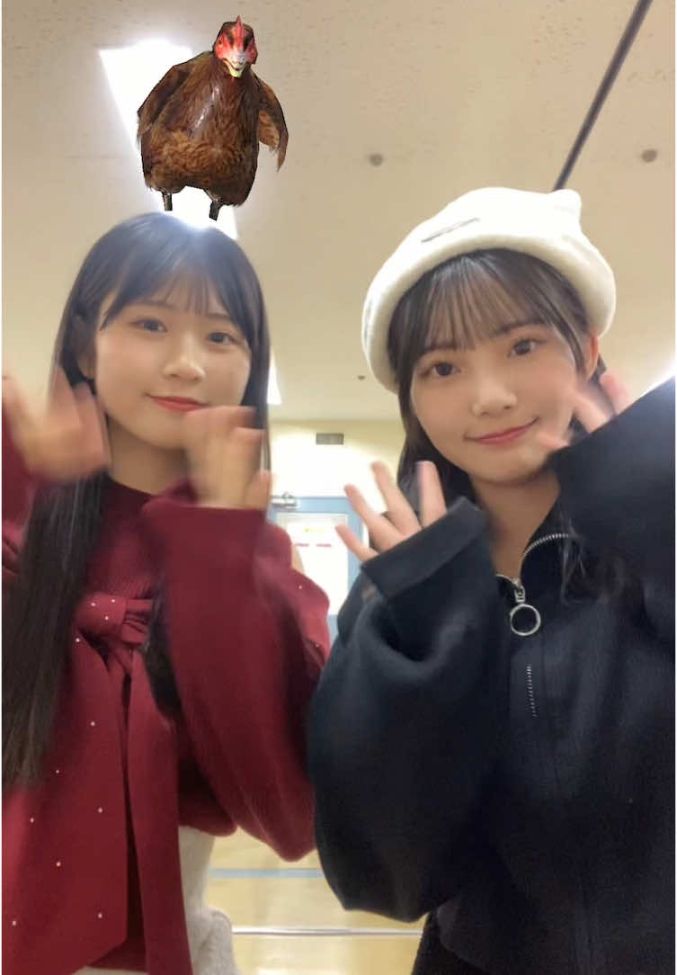 ざわちゃんとニワトリチャレンジしてみたよ🐔面白すぎた………(笑)@井澤美優                        #HKT48 #jk #ニワトリ#fyp 