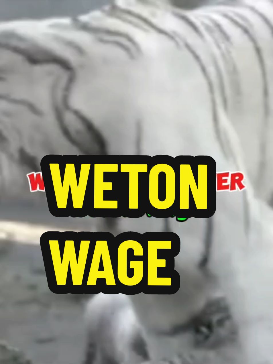 Weton Wage  #khodam  #khodampendamping  #weton  #wetonwage 