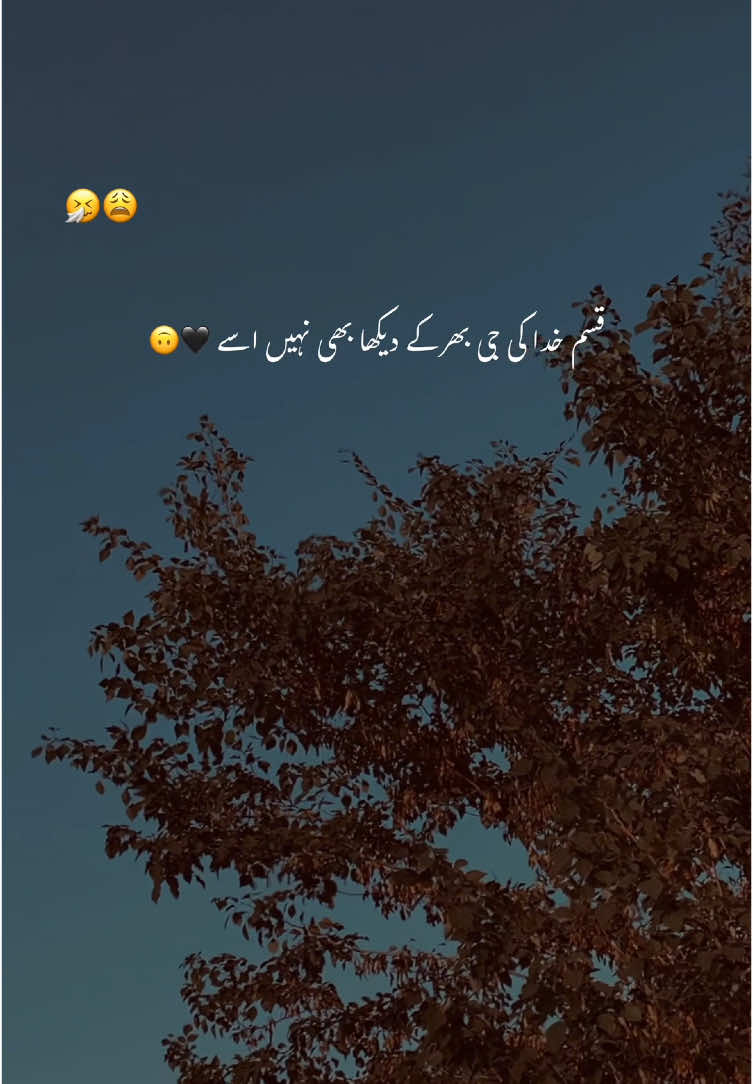 قسم خدا کی جی بھر کے دیکھا بھی نہیں اسے 🖤🙃#fyp #1millionaudition #foryoupage #grow #account #urdu #aesthetic #viral #poetry 