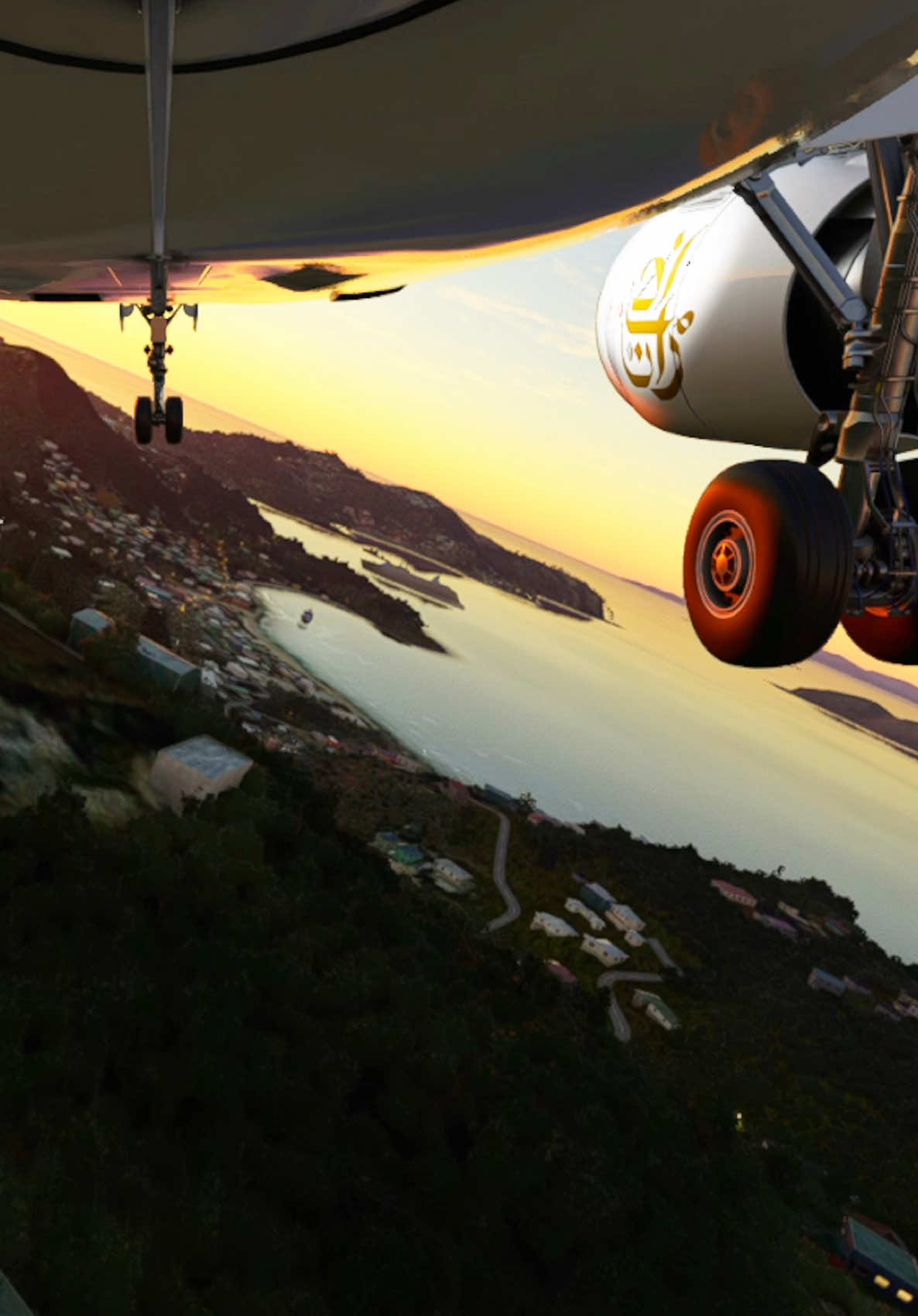 Pilot attempts emergency landing!  #landing #aviation 
