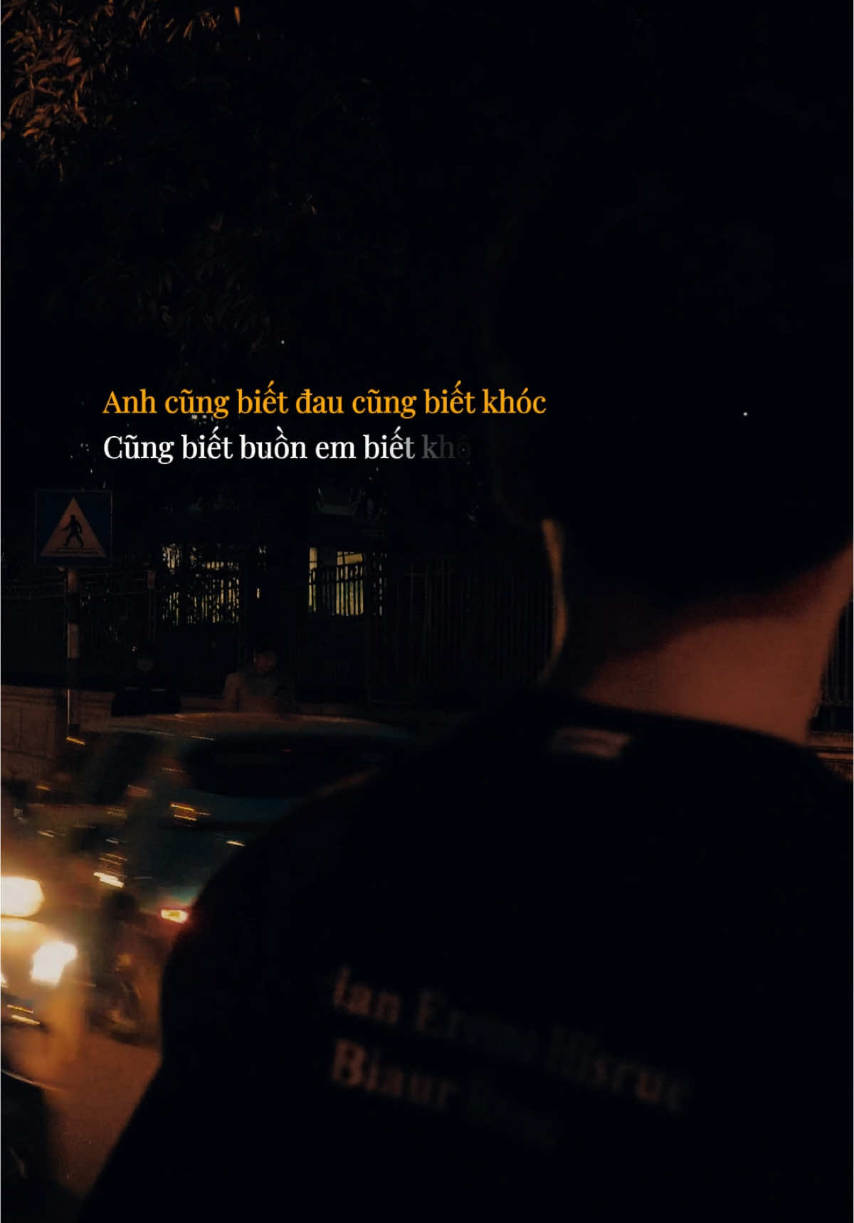 Anh cũng biết đau #tramxua #nhachaymoingay #antertainment #betamusic #nhac #lofi_lyrics #khahiep #anhcungbietdau 