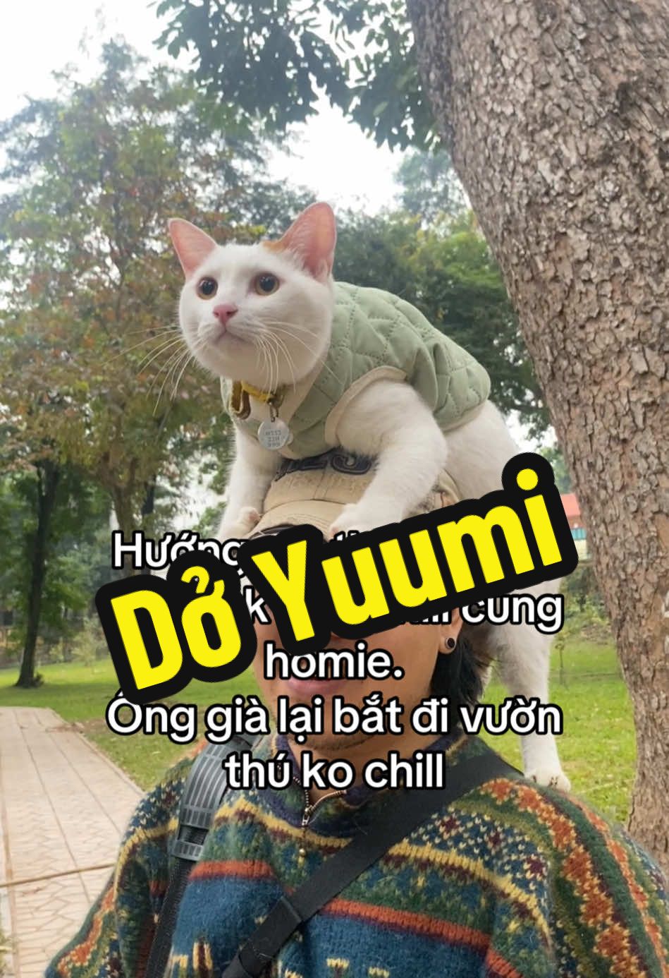 Hmmm… #trịnhxuândở #yuumi #nhàmèotháihà #fypシ゚ #fyp 