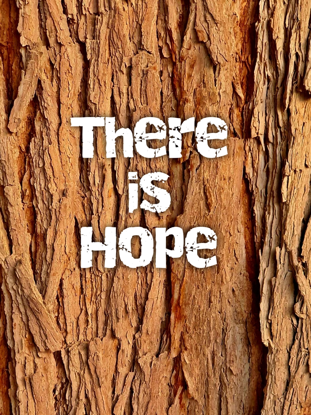 A withered tree can bear fruits. So don't lose hope. #motivationalvideo #inspired  #inspirational #inspire #success  #inspirationalvideo #foryoupage #motivation #success #motivational #viral #theoinspired #fyp #inspirational  #dailymotivation #inspire #motivate #success #pov #wealth #Uplifting #Inspiring  #motivational #powerfulmotivation  #christian #inspirational #motivation  #bestmotivational #mindset #statusforwhatsapp #quotes  #nspirationforlife #lifequotes  #motivationforlife #quotations  #powerfulmotivation #fruits  #motivationInspiration #tree  #successfulmindset #hope 