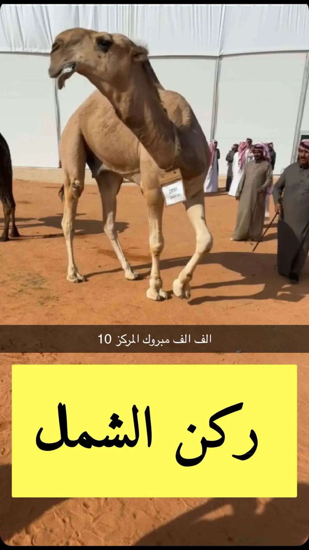 #الف الف مبروك المركز10 #مشاركه_مرزوق_راضي_الشمري #ركن_الشمال