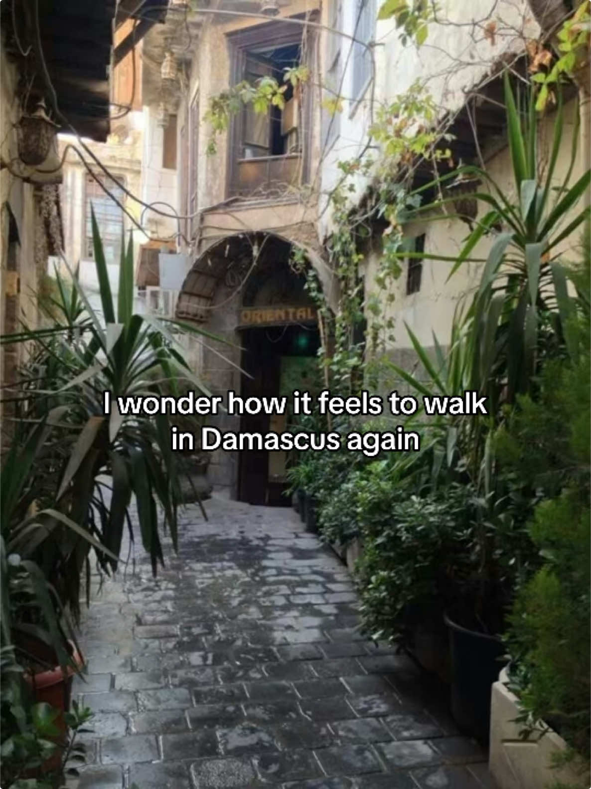 I left Damascus at ten, yet it lingers in my soul, a city of jasmine, whispers, and childhood dreams woven into its ancient streets.  #aesthetic #damascus #سوريا #foryou #fyp #syria #🇸🇾 