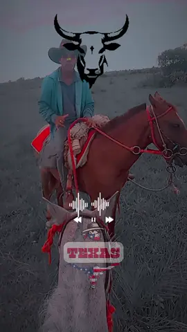 #CapCut 