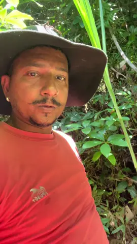 #viral_video @A lenda das comidas 