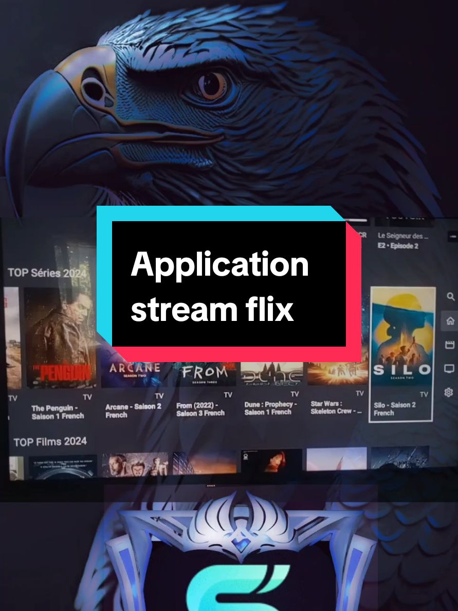 Application stream flix  #Application_stream_fli#Downloader 