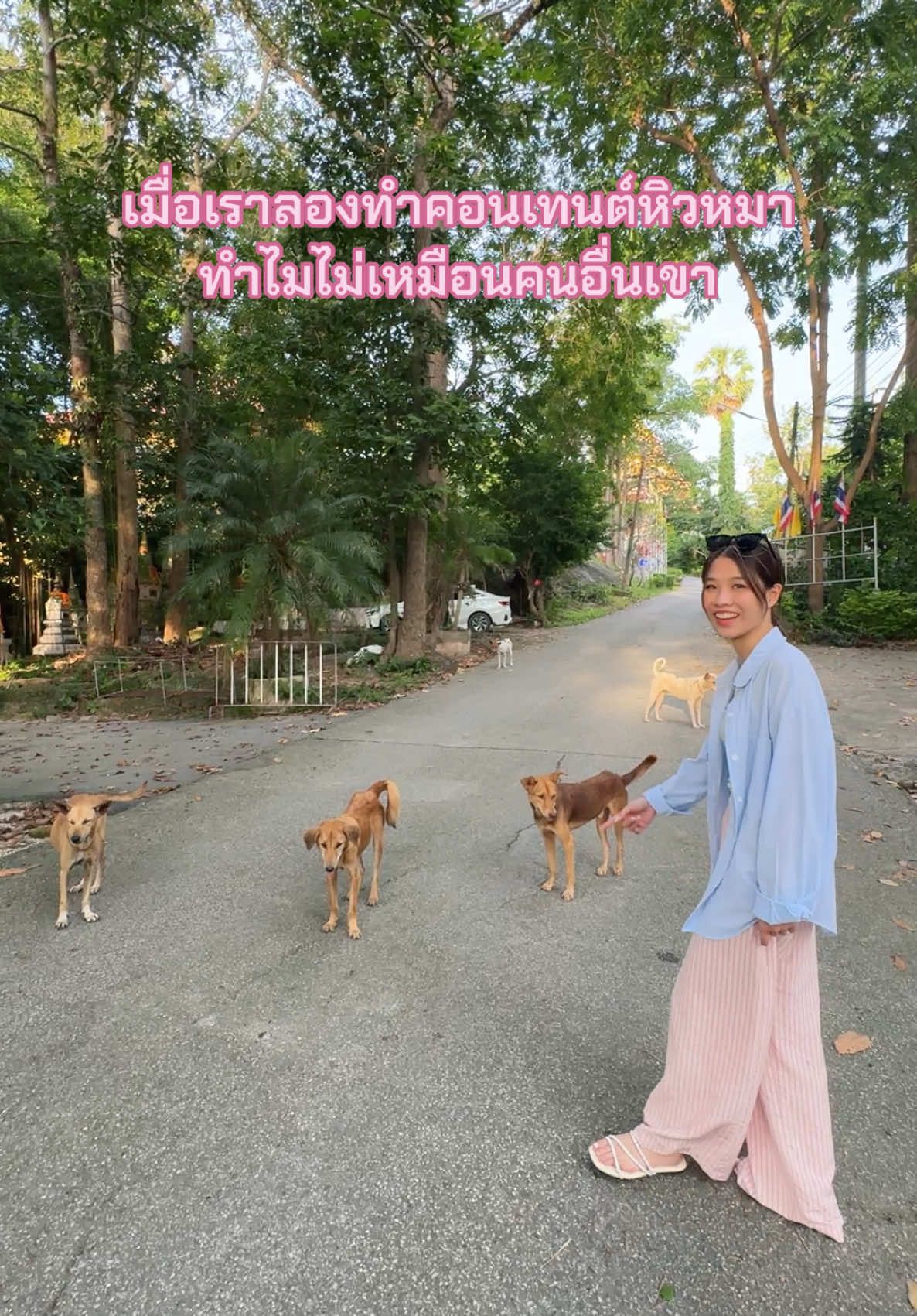 หรือน้องหมาหาดใหญ่ฟังภาษากลางไม่ออก555555555🐶🐕🦮🐕‍🦺