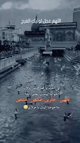 #ستوريات #ستوريات_حسينيه #الامام #المهدي_المنتظر_عجل_الله_فرجه 