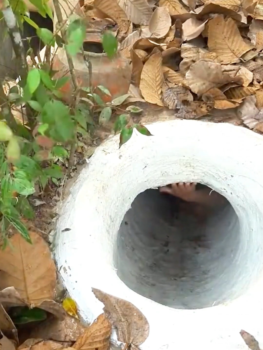 Building The Most Temple Tunnel Underground Pool And Rescue Six Puppy With Mom #MoneySavingTips #TikTokBusinessCampaign 