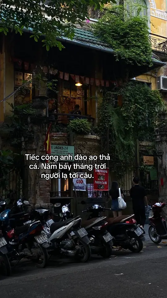 Tiếc công anh đào ao thả cá. Năm bảy tháng trời người lạ tới câu.#tamtrang #xh #ducahh05 