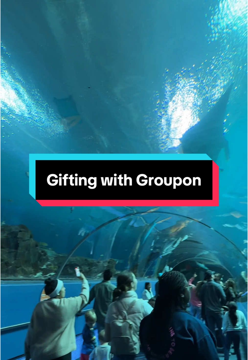 One thing about @Groupon , they are going to make sure that I get a good deal. Me and my family enjoyed visiting the Georgia Aquarium. I love creating special memories with my family especially during the holiday season. Groupon has so many experiences to choose from whether it’s for yourself or your loved ones. Head over to the 🔗 in my bio to see what local experiences you can find. #groupon #grouponpartner #giftingwithgroupon #grablifebythegroupon 