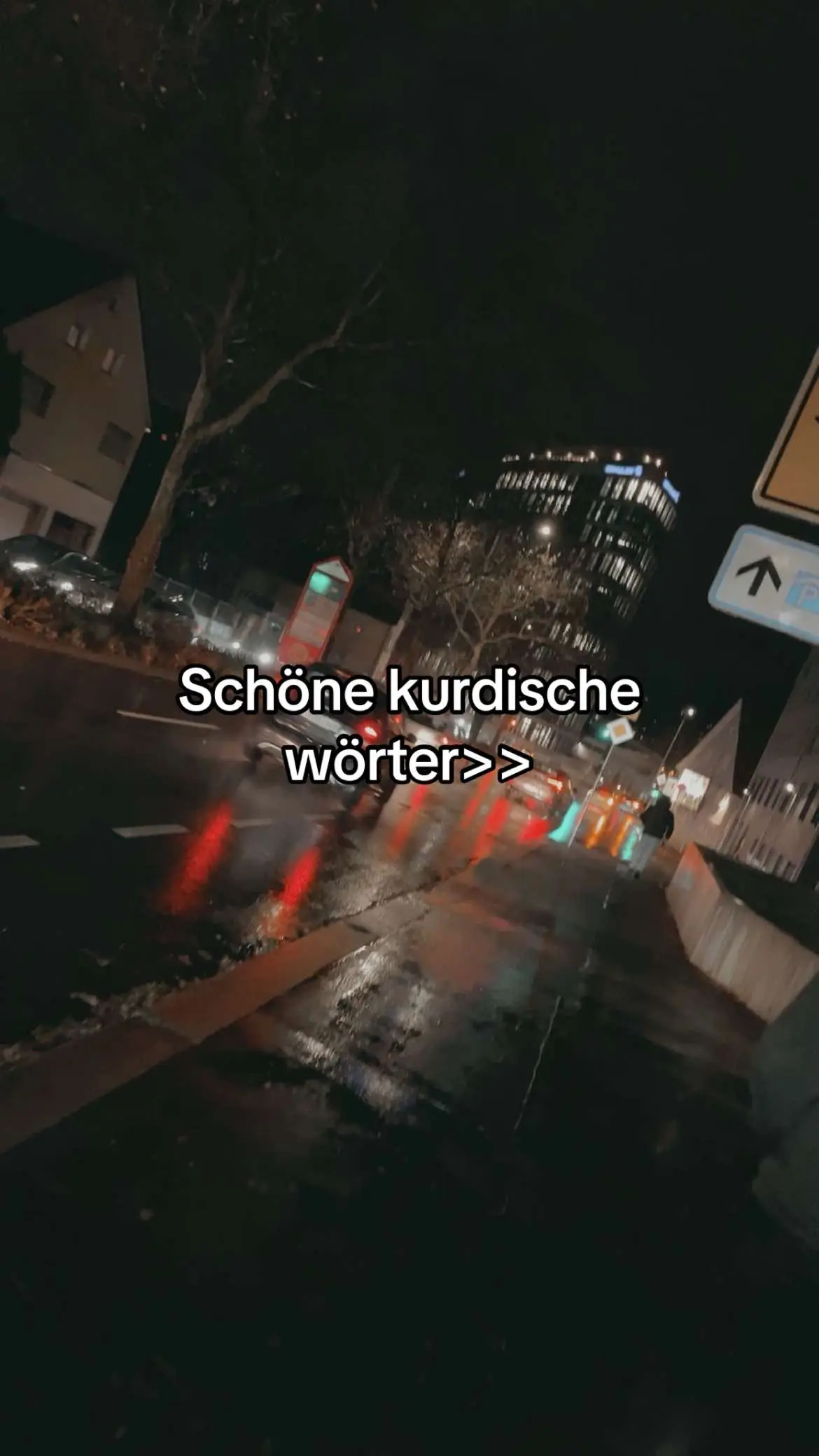 #schöne #wörter #kurdisch #yezidi #viralvideos #fyyyyyyyyyyyyyyyyyyy #foryoupag #fyp 