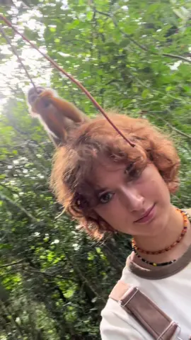 Drawn towards island life 🌊🐚 #newmusic #singersongwriter #travelling #jungle #surfing #monkey #islandlife #dominicanrepublic 