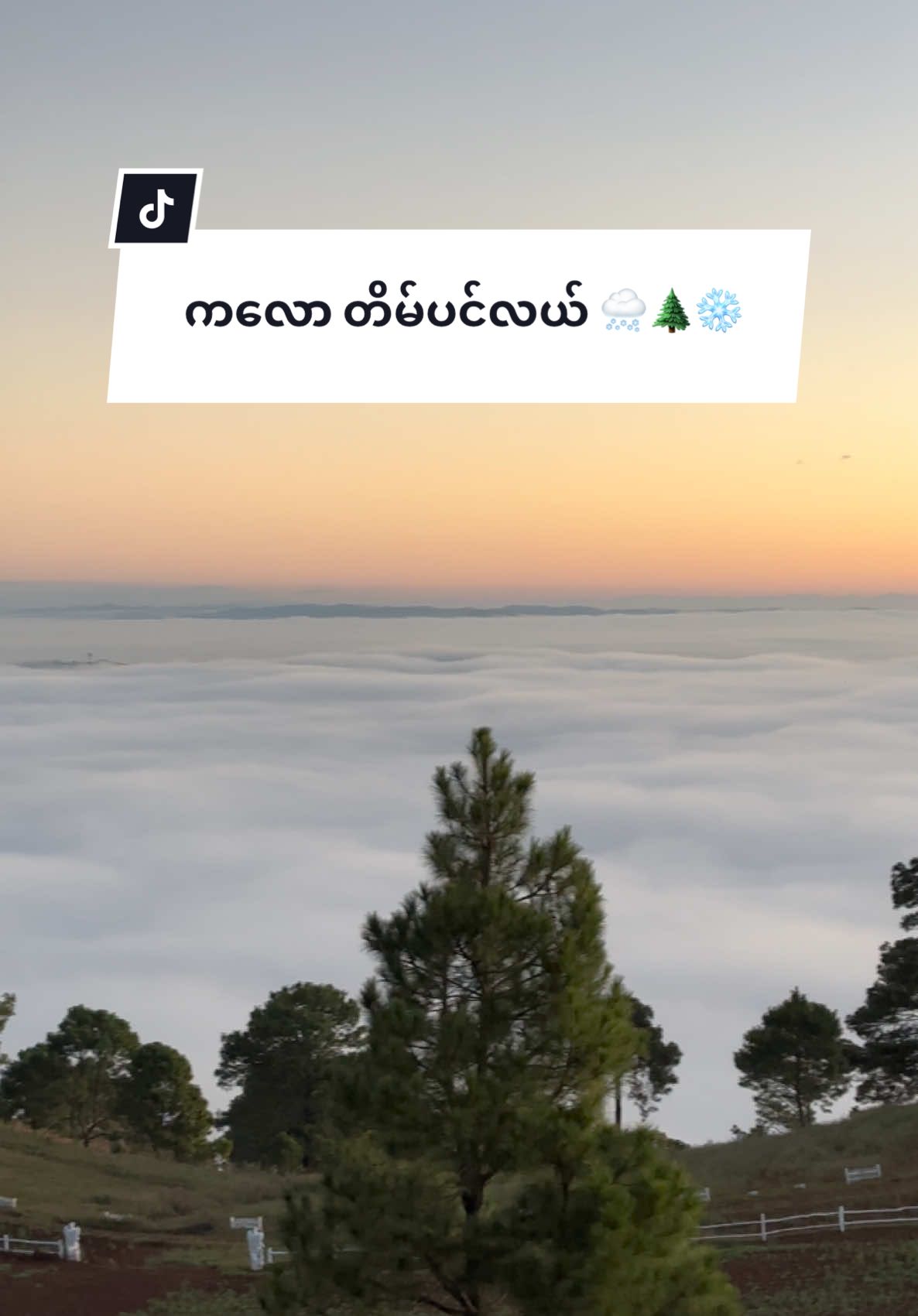 တိမ်ပင်လယ် 🌲❄️🌨️  #kalaw  #fairyland #တိမ်ပင်လယ် #တိမ်ပင်လယ်ဆီမင်းနဲ့ခရီးဆက် #သဘာဝ #sunrise #december 