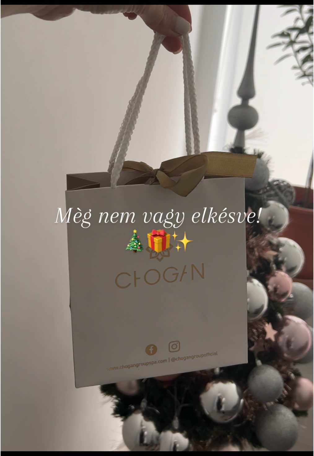 Mèg nem vagy elkèsve!! Vasárnapig mèg le tudod adni a parfüm rendeléseidet. Nehogy ajándék nélkül maradj! 🎁✨🎄 #christmas #christmastiktok #christmasdecor #gift #giftideas #christmasgift #christmasgiftideas #xmas #fly #foru #for #foruyou #neked #nekedbe #nekedbelegyen #chogan #parfum #karacsony 