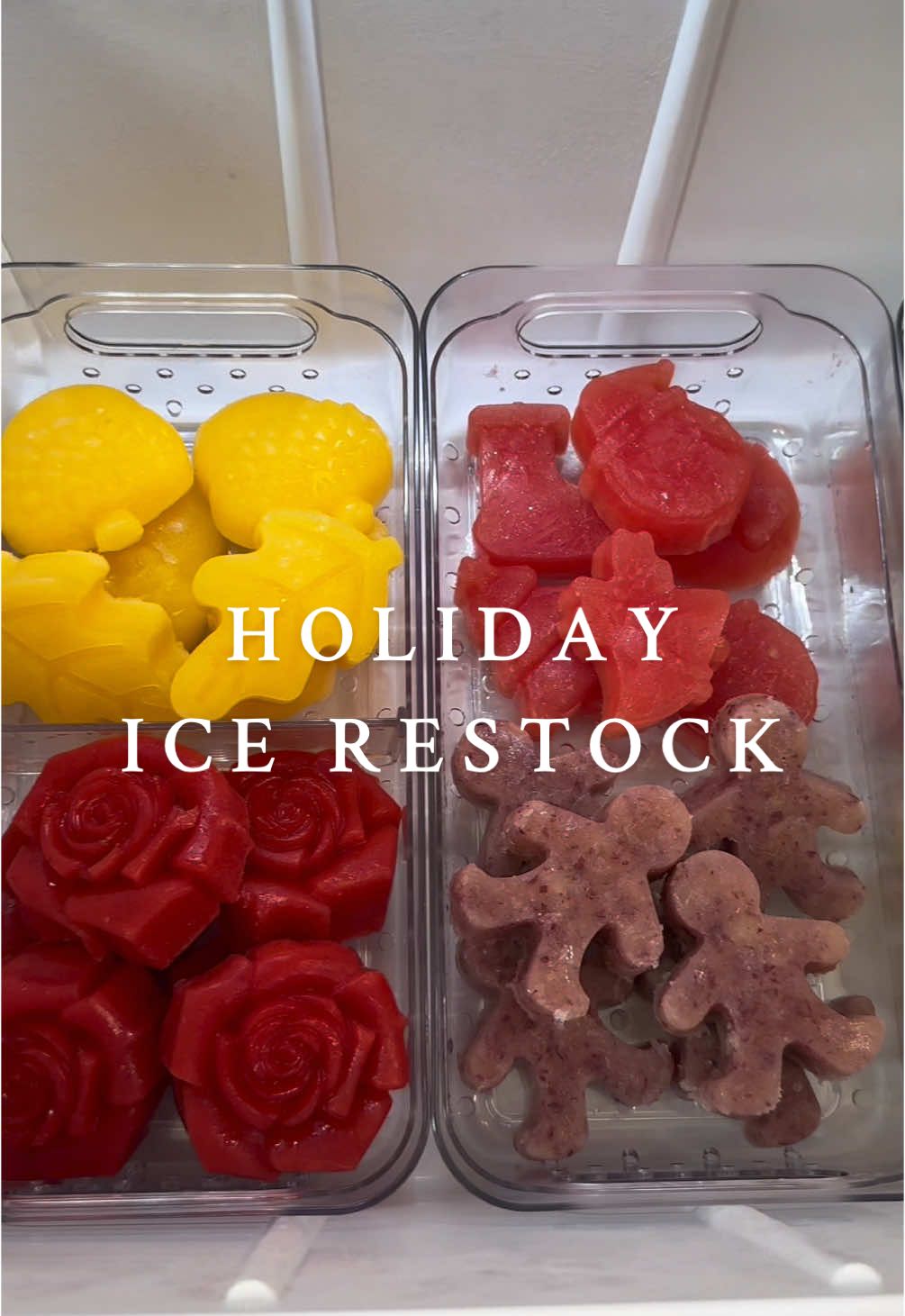 🍹Holiday Ice Restock! 🎄✨ Ready to take your cocktails & mocktails to the next level with fresh, fruity holiday ice?🍓🍊🍍 🥒🍇 #restock #ice #icerestock #holidayice #cocktails #cocktailice #asmrsounds #mocktails #fruitice #thatgirl #aesthetic 