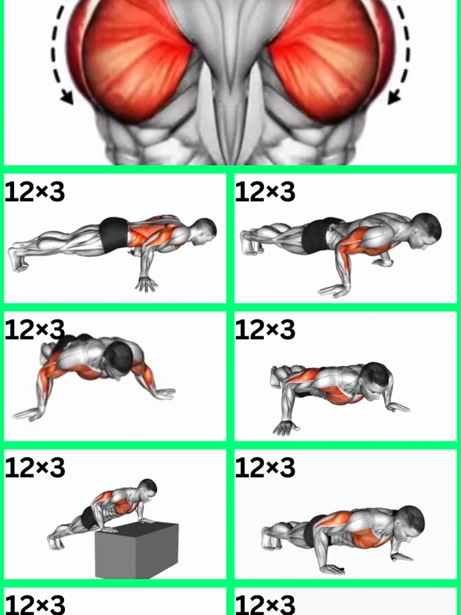 CHEST WORKOUT AT HOME.#chestworkout #workout #homeworkout #Fitness #sports #fyq @Sports boy @Sports boy @Sports boy @HOMEWORKOUT 