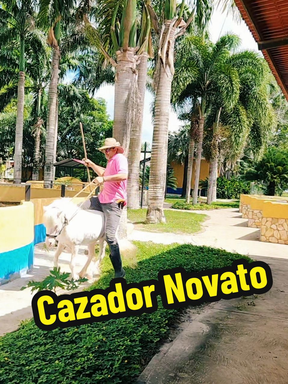 🤠🐴🐶🍌🎶 Como ven a este cazador? Bailalo @M A R I A N N Y D I A Z ✨🎤 #vainasdelllano #vivalavida #buenavibra #optimismo #buenhumor #luisdelcantoyloscaballos #musicallanera #joropomirandino #venezuela