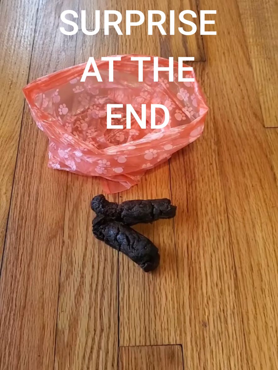 #poop#dog#prank