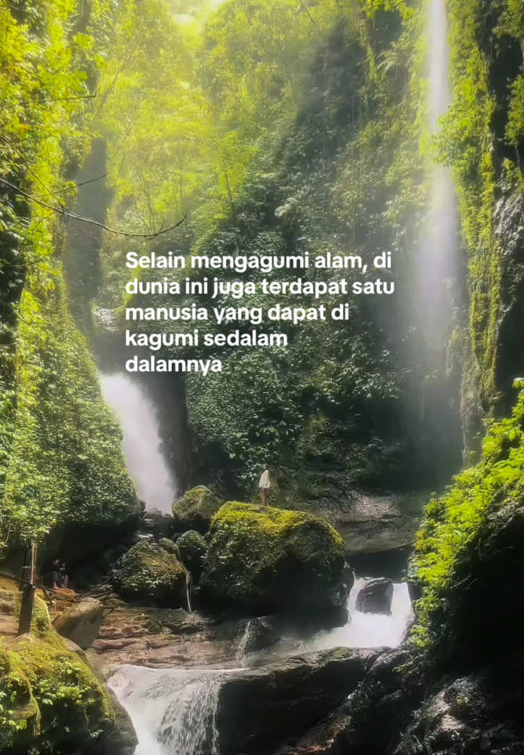 #3762mdpl #quotesaesthetic #quotes #Hiking #pendakiindonesia #pendakigunung 