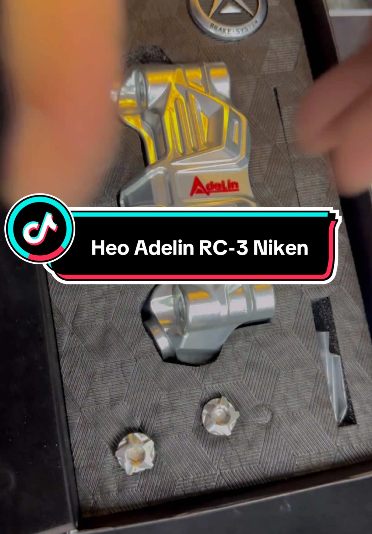 Heo Adelin RC-3 Niken phù hợp anh em thích lạ #adelin 