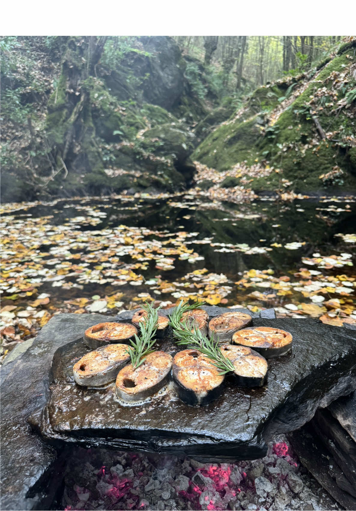 Doğal Taş Ocakta Palamut Izgara 🐟🍂 Grilled bonito on a natural stone hearth 💦🍁 #outdoor #outdoorcooking #fish #cookingvideos #camping #asmr #asmrvideo #fishlovers #yummyfood #balık #survival #bushcraft #nature 