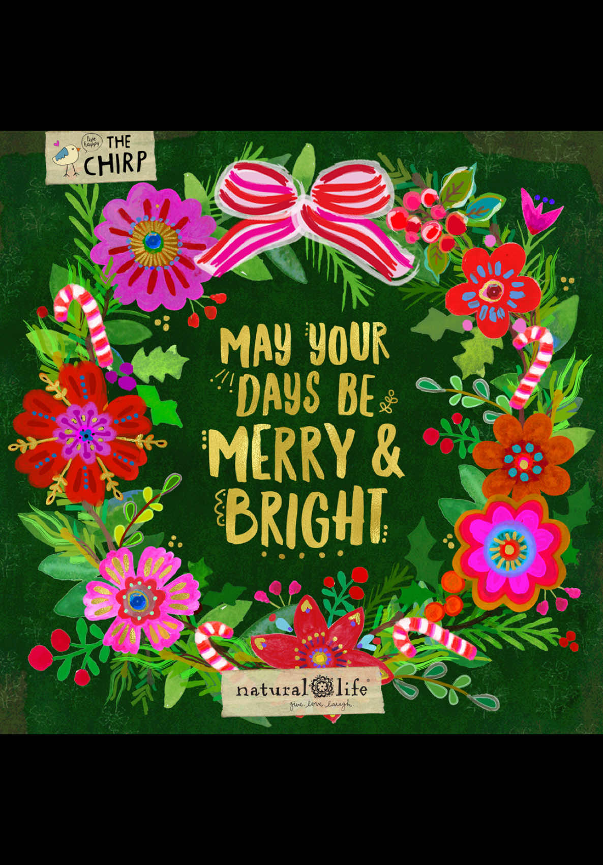 I hope your days are ❤️ merry and bright ⭐️through the whole year not just during the Christmas season.  #LiveInConfidence #MerryAndBright #HolidayVibes #SeasonOfJoy #PositiveEnergy #SpreadKindness #GoodVibesOnly