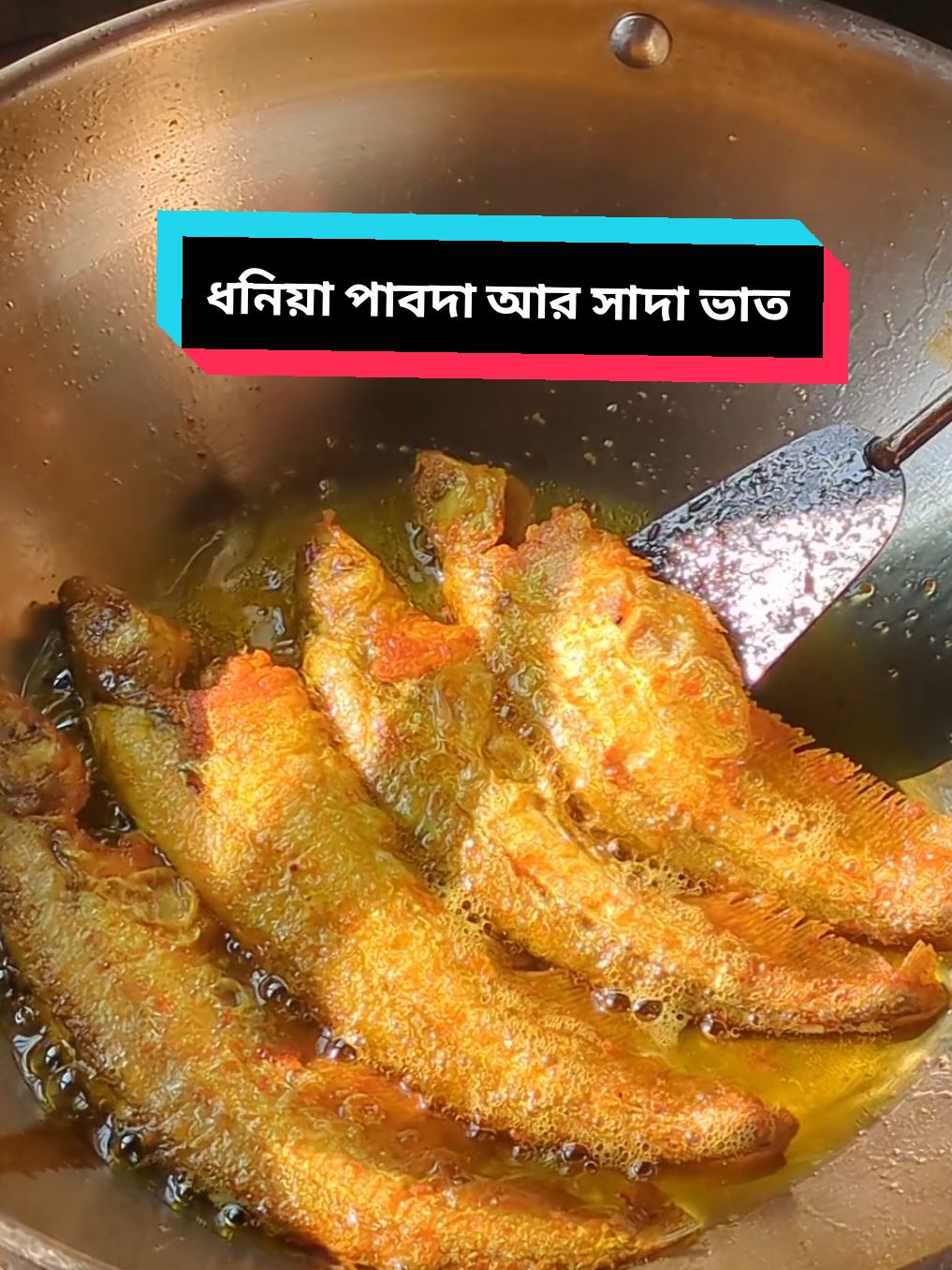 ধনিয়া পাবদা আর সাদা ভাত 🌿😋 Green pabda fish curry with rice  #FoodTok #bdtiktokofficial #cookingvideo #cookingtiktok #bengalifood #delicious #foodreels #viraltiktok #tiktokwatch #villagefood #fishtok #foodietiktok #EasyRecipe #easycooking 